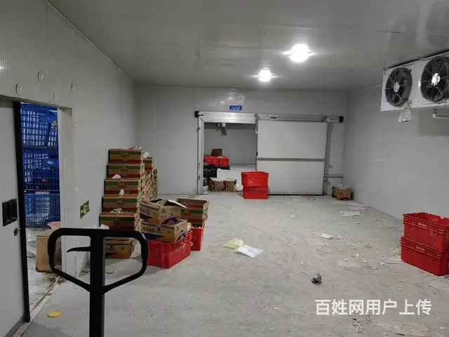 （老板本人）开福区白霞村独栋房屋➕冷库出租  5775 - 图片 7