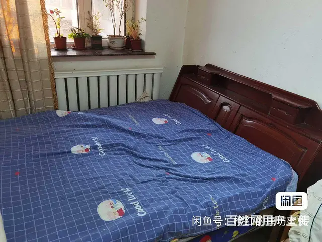 单人床，双人床，冰箱，展柜 - 图片 6