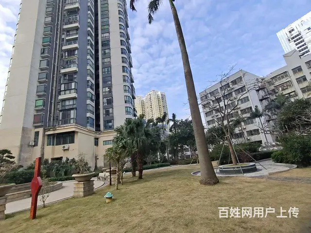 吉大 九洲港码头 龙园8号 精品1房采光好拎包随时就可以入住 - 图片 12