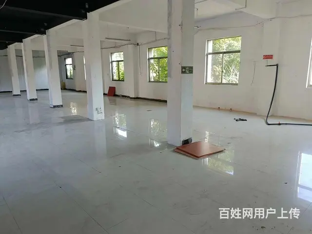 房东直租！婺源蒋堂镇工业园区350平厂房出租！ - 图片 6