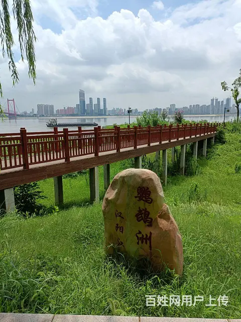 缘知己 - 图片
