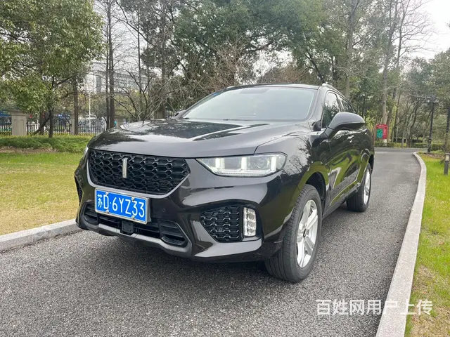 WEY VV5 2019款 1.5T 双离合 两驱倾橙限量版 - 图片 1