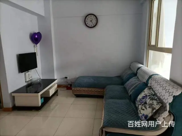 海纳丽景步梯6楼2室一厅精装家电 - 图片 2