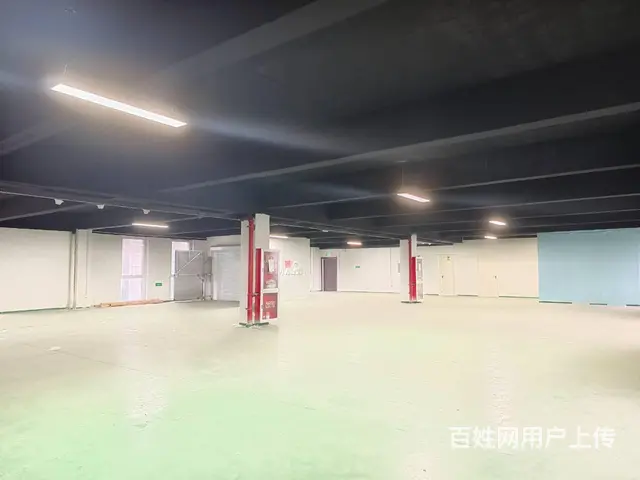 （城市在线找房免费）金山桥杨山路框架结构厂房出租 - 图片 2