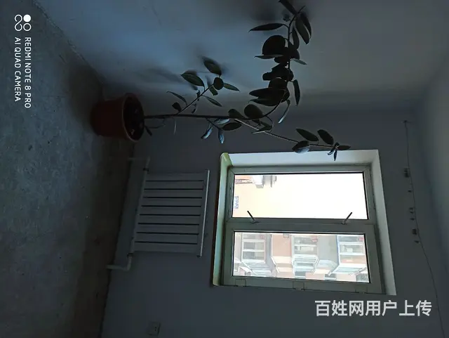 房子  好，小区购物方便 - 图片 5