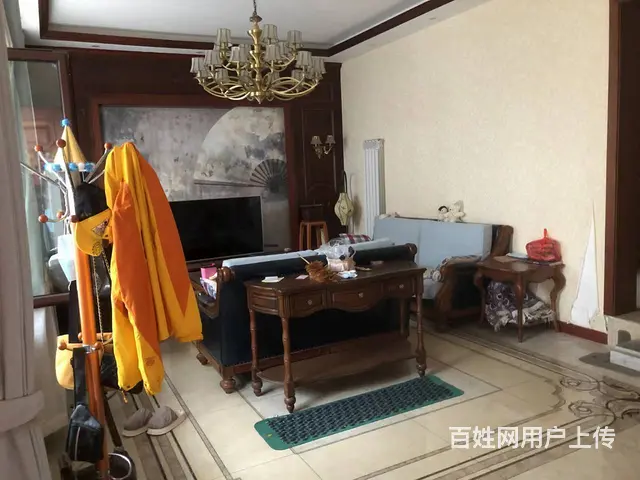 大降价，经济不景气，红星九组自建房 别墅 豪华装修，便宜了 - 图片 8