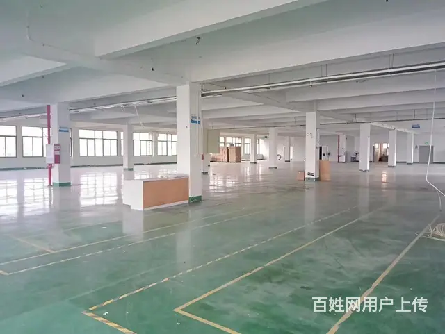 新阳工业区标准厂房出租大小可分 - 图片 2
