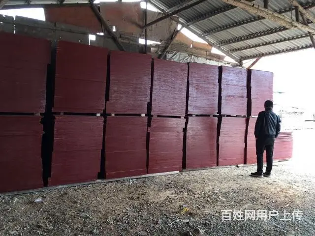 福建最大旧木材交易、回收基地 - 图片 3