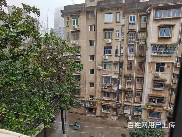 地铁房南湖路欧园小区 普通住宅1厅 简单装修 - 图片 4