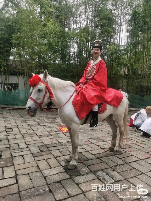 成都周边租花轿步撵大花轿，租喜轿轿夫，唢呐锣鼓 - 图片 7
