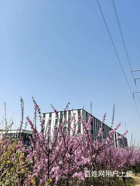 清盘特价单价2600元 临街大平层大产权厂房 - 图片 1