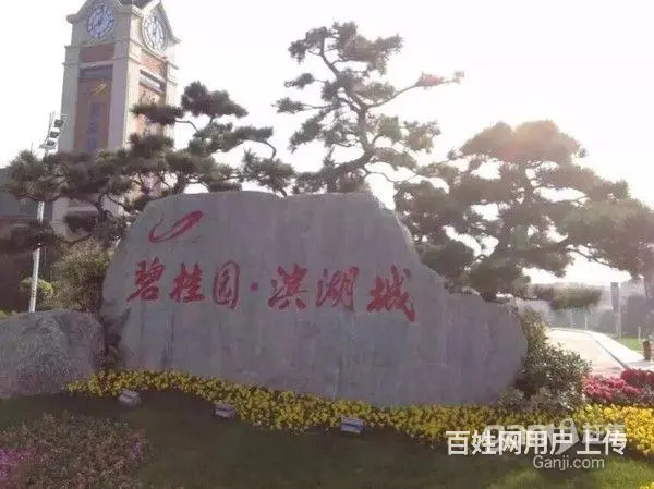 地产十强,三面环水景观别墅,总价200万双拼别墅 - 图片 2