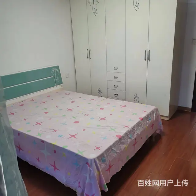 船山大道华程医院附近精装修1室1厅家具家电齐全月租750 - 图片 3