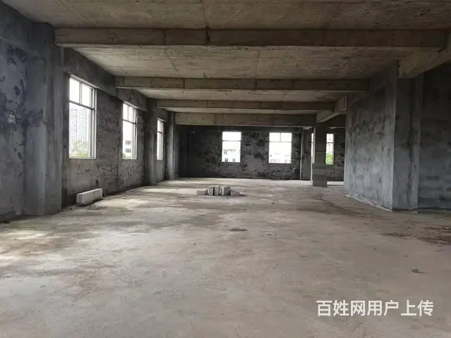 （51旺铺推荐）琼山区新大洲大道整栋2000平招租 - 图片 6