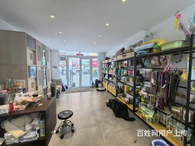 宠物用品店出兑  能寄养 - 图片 3