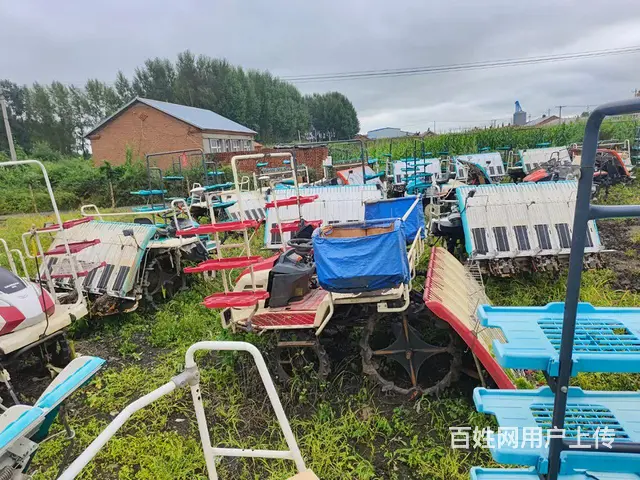 密山志强二手插秧机专卖，批发本地精品二手插秧机 - 图片 6