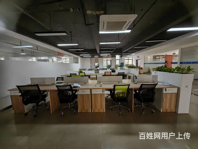 （房东直租）一楼实心厂房 - 图片 4