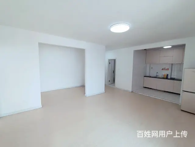【搞定了！】大悦城88平商住两用 - 图片 3