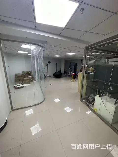大什字街旺地宠物店出兑 - 图片 4