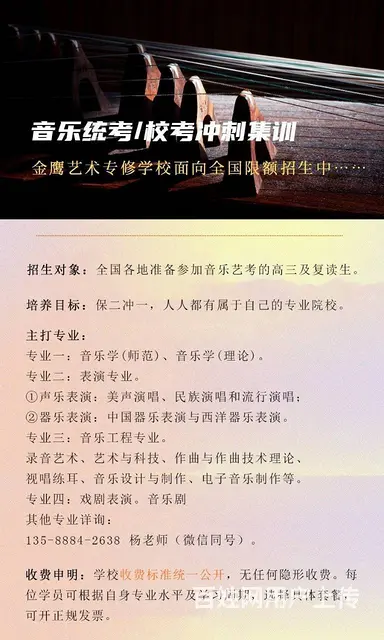 浙江音乐统考:音乐声乐器乐及小三考前指南 - 图片 4