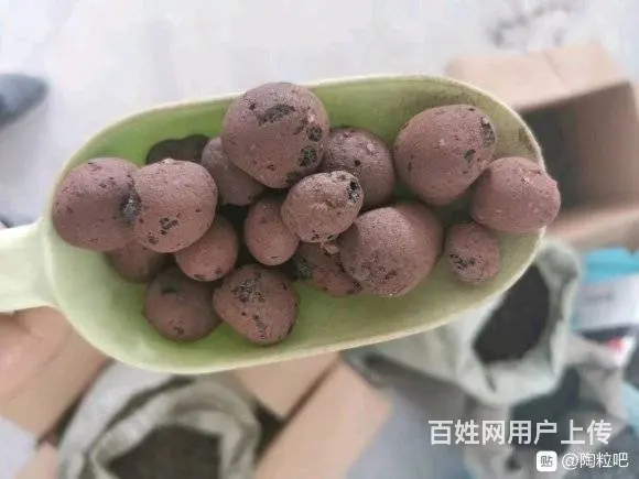 中山陶粒 轻质建筑陶粒 优质陶粒构建美丽家园 - 图片 2