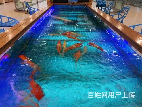 （达州铺源网）南外升华广场三楼30㎡渔乐圈店转让 - 图片 2
