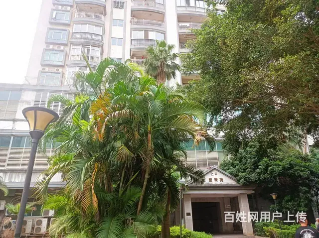 （51旺铺推荐）名门广场180平旺铺招租 - 图片 7
