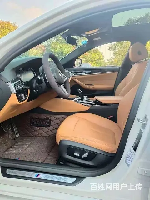 宝马5系 2018款 530Li 2.0T 手自一体 领先型 - 图片 9