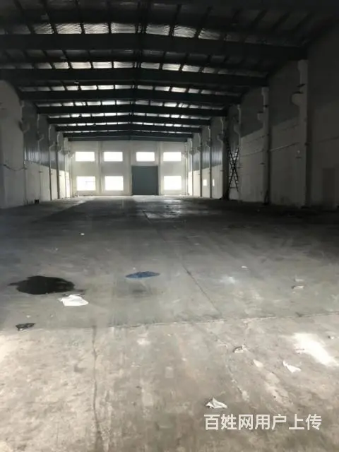 陆家美吉特附近单层500  800  1000  2000厂 - 图片