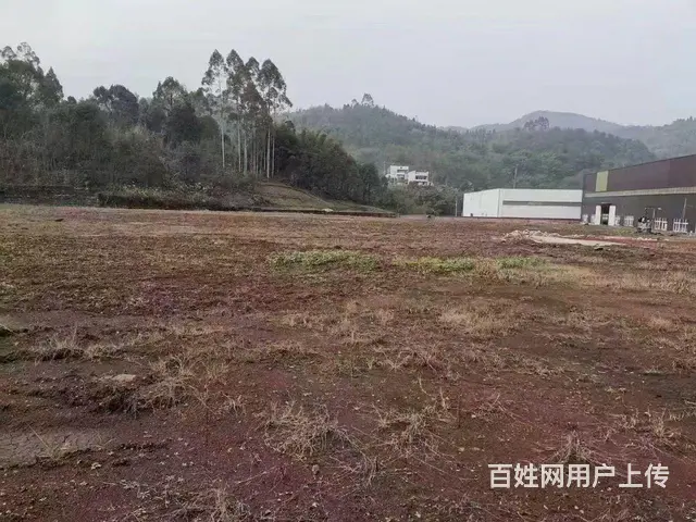 巴南一品创业园450平米厂库房、1.5万平米场地出租 - 图片 6