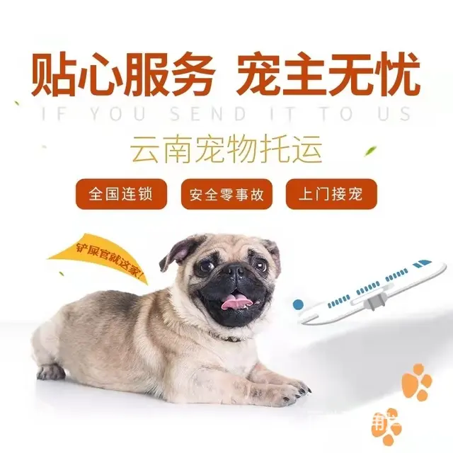2022锡林郭勒（猫狗）快递托运（宠物活体运输新*闻） - 图片 2