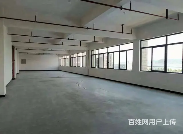 （房东直租）开福区大明工业园厂房/仓库房东优价出租 6402 - 图片 5