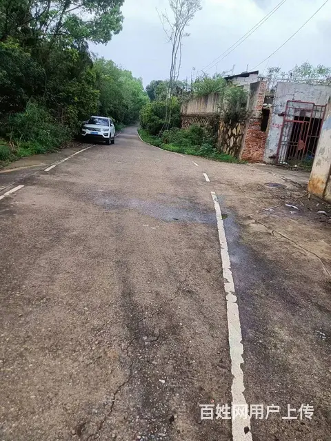 个人）雨花区洞株公路旁边独门独院仓库厂房出租编号2130 - 图片 4