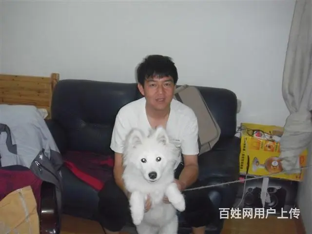剩男求亲QQ1250288794 - 图片 2