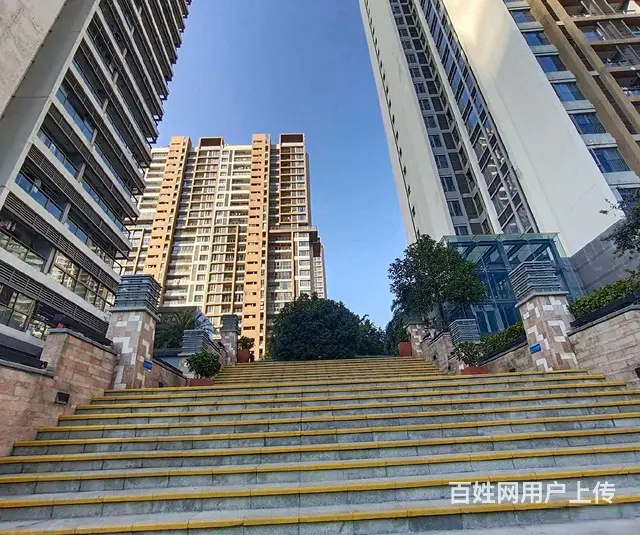 近拱北口岸 富华里九洲道附近 格力香樟 精装修 2房 - 图片 12