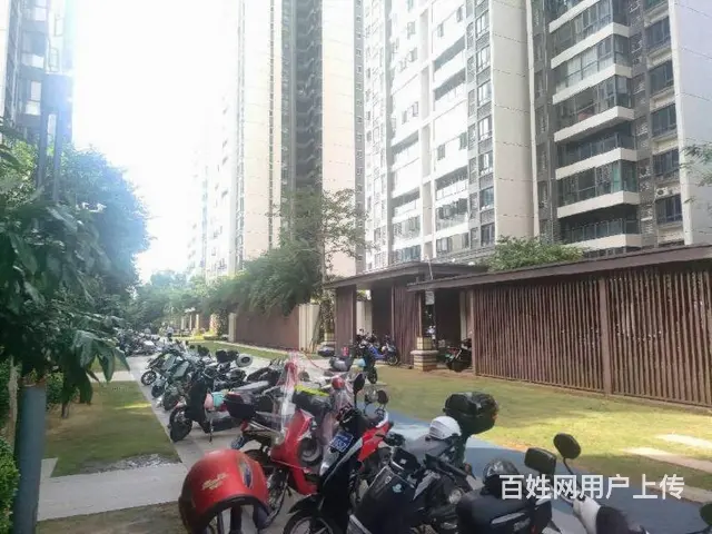 海德路   星华海德豪庭3房 - 图片 9