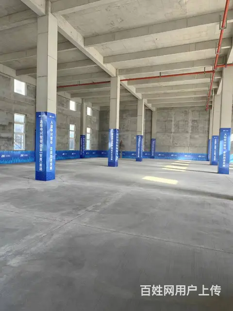 现房厂房出售，1200平起，赠送露台，总价低 - 图片 3