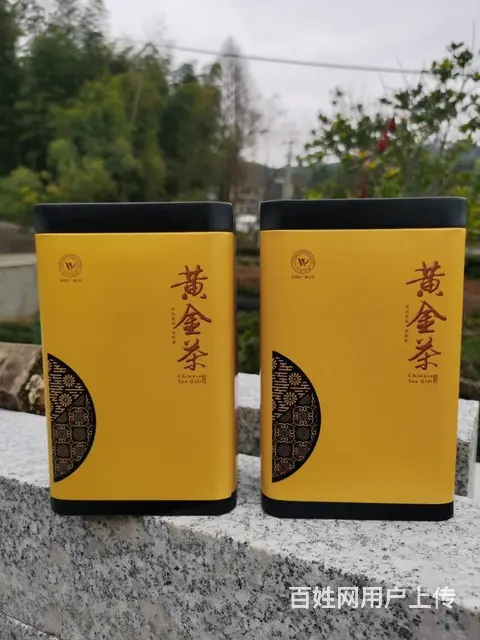 春节送礼选好茶 黄金叶茶 安吉白茶 小戴白茶直销 - 图片 2