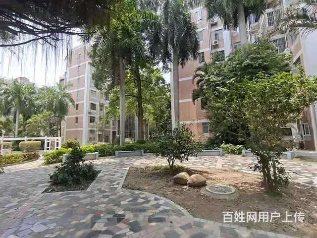 九洲港码头 九洲花园  黄金楼层  全新精装3房 南北通透 - 图片 10