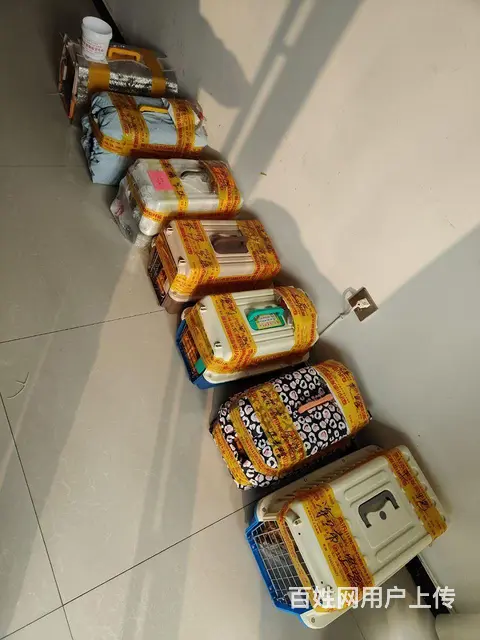 全国宠物托运有专门的门店 - 图片 1