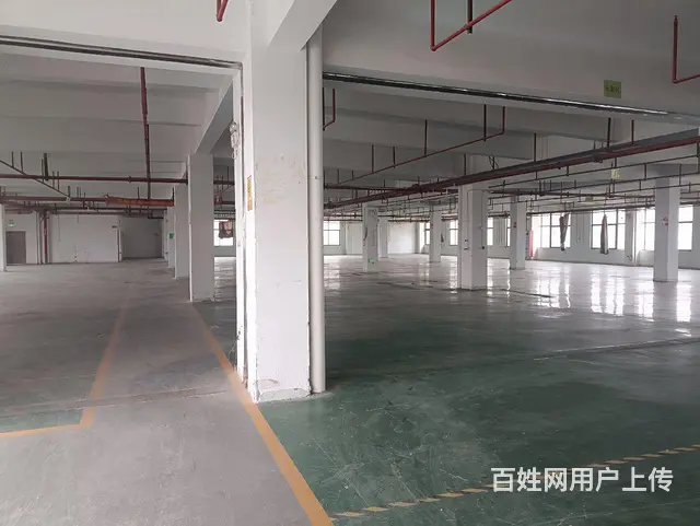 海沧标准钢结构招租2030平方 - 图片 3