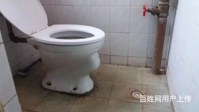 房屋出租 - 图片 4