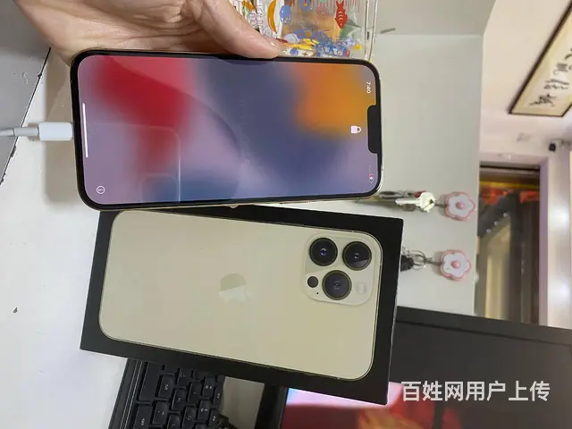 揭阳回收手表钻石黄金翡翠包包 - 图片 5