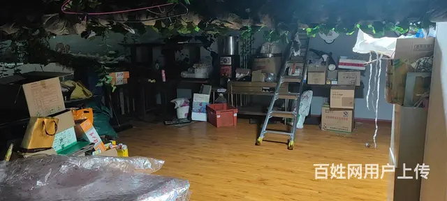 7742(七P）个人城西区万达金街南街桥下临街商铺转让 - 图片 3