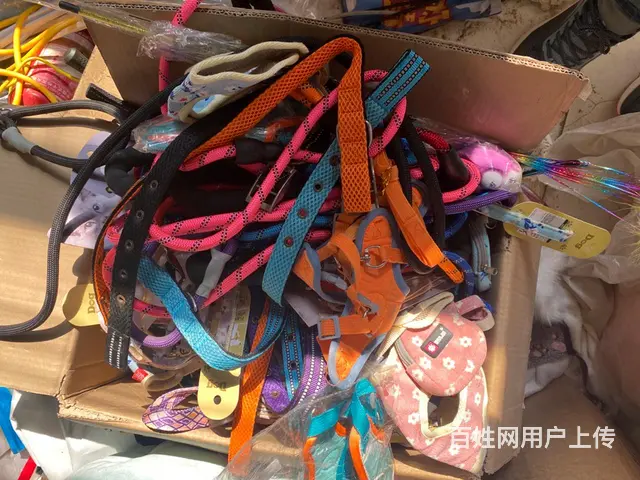 宠物店不干了剩下大概90条狗绳 - 图片 2