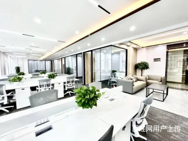 新装轻奢风（5室30工位）无加时费 三街地铁口新希望国际 - 图片 4