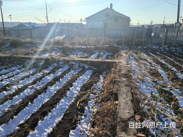 西岗子镇 230 平 15.6 万 1560 平院子 - 图片 2