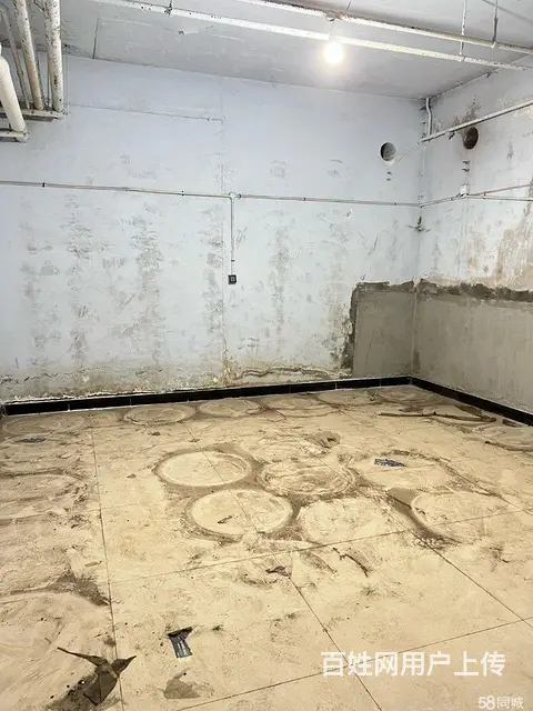 南岗保健路征仪路口地下库房出租 - 图片 11