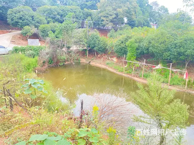 雨花区跳马红星同升湖整栋民房，鱼塘，场地，冷库，农家院子出租 - 图片 7