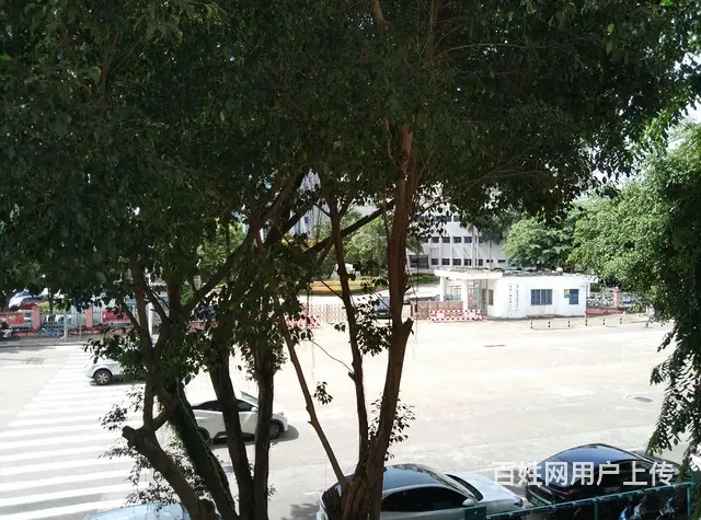 （51旺铺推荐）南沙路电视台对面二楼140平空铺出租 - 图片 4
